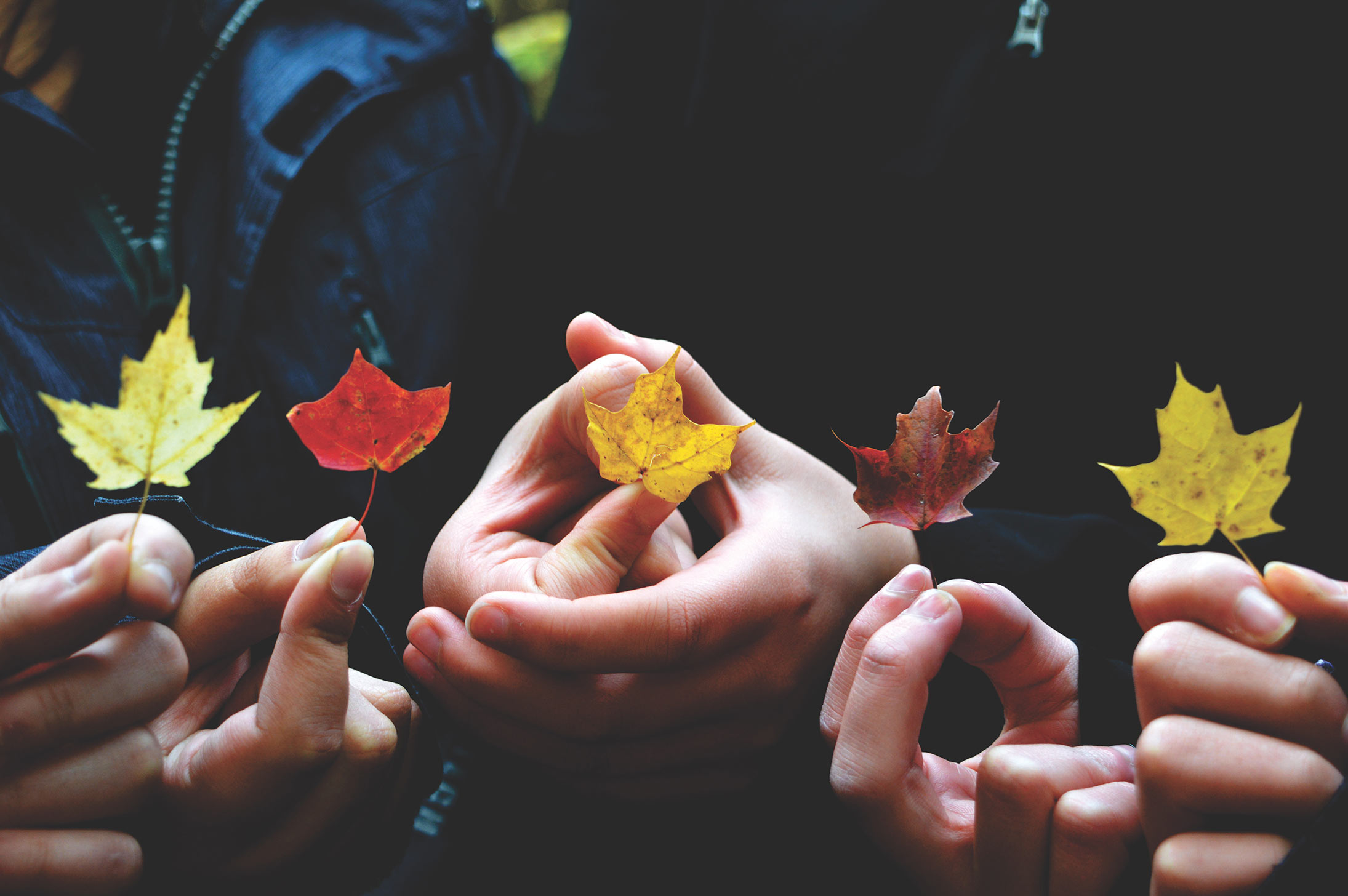 providence-doucet-87304-unsplash-julia-violero providence-doucet-87304-unsplash-julia-violero