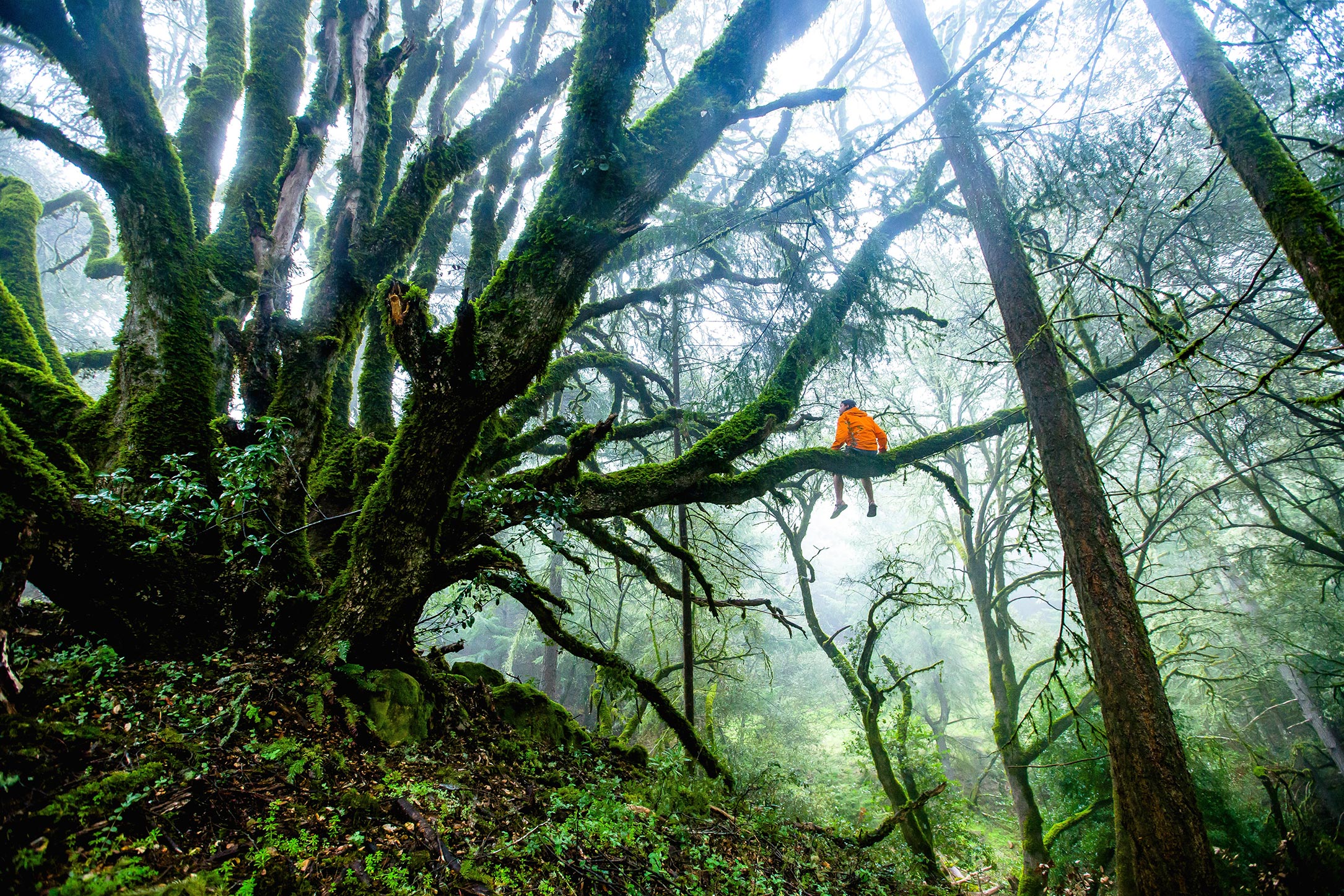 teddy-kelley-unsplash-imagen-articulo-julia-violero