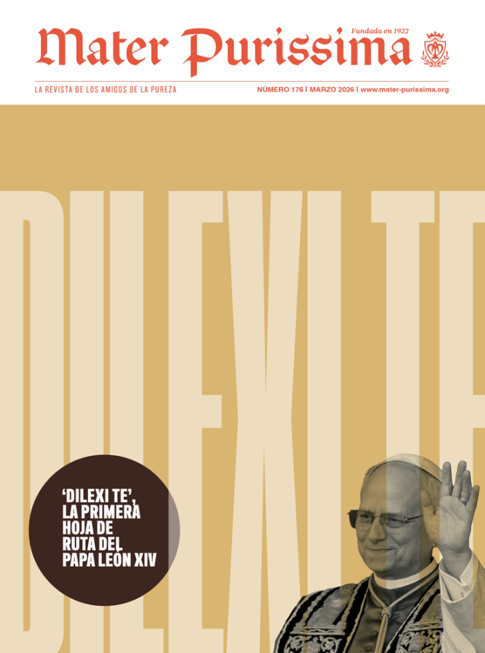 portada-mater-176